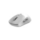 Мишка Genius NX-8080S Wireless/Bluetooth White/Grey (31030042401)