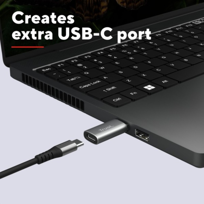 Перехідник USB-C to USB-A 3.2 Adapter 2-Pack Trust (25573_TRUST)