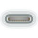 Адаптер Apple USB-C to Apple Pencil Adapter (MWML3ZM/A)