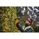 Кущоріз DeWALT 18 В, 5Ah, довжина ножа 55 см, діаметр гілок 25 мм (DCMHT563P1)