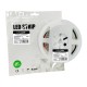 Світлодіодна стрічка Eurolamp LED/ROLL-5m/6500K(480)(5)