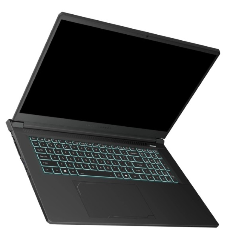 Ноутбук Thunderobot 911 X17 (911X17-i7136H56C1Q165MBD)