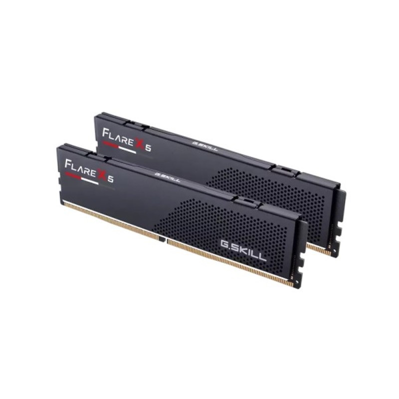 Модуль пам'яті для комп'ютера DDR5 64GB (2x32GB) 6000 MHz Flare X5 Amd EXPO G.Skill (F5-6000J3040G32GX2-FX5)