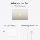 Ноутбук Apple MacBook Air 13 M4 A3240 Starlight (MC6A4UA/A)