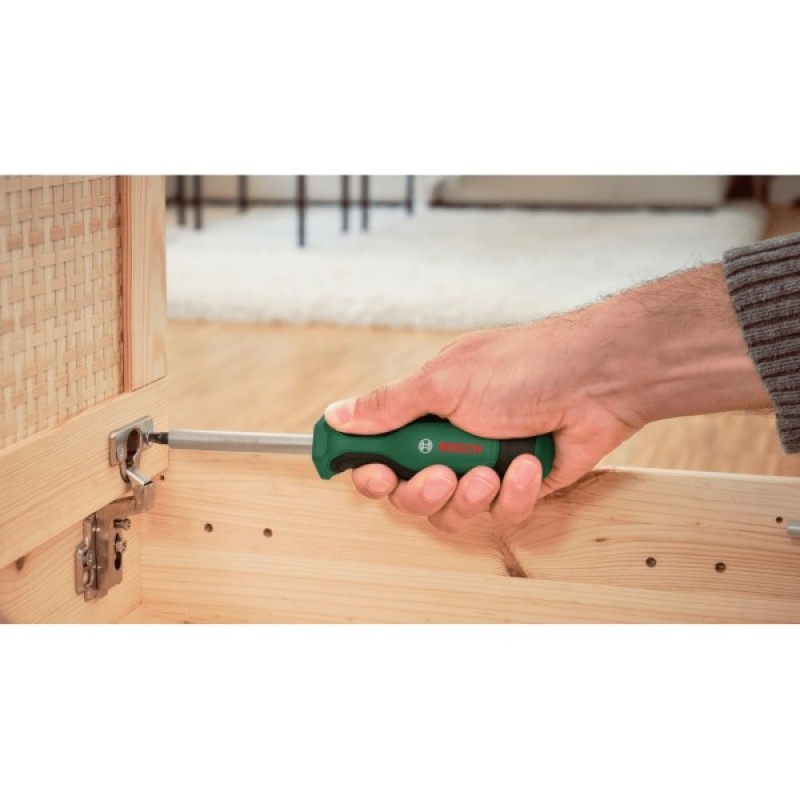 Набір інструментів Bosch з бітами та тріскачками, 1/2", 25 шт. (1.600.A02.Z9G)
