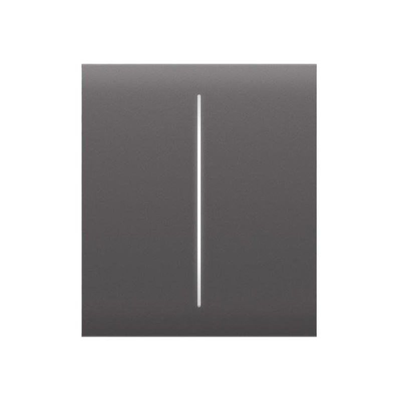 Накладна панель Ajax CenterButton 2-gang/grey