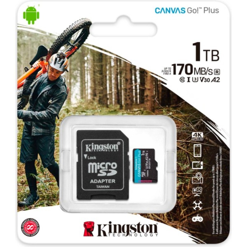 Карта пам'яті Kingston 1TB microSD class 10 UHS-I U3 V30 A2 Canvas Go Plus (SDCG3/1TB)