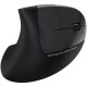 Мишка Havit HV-MS550GT Wireless Black (6939119019419)