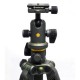 Штатив Vanguard Alta Pro 2+ 263AB 100 (DAS302029)