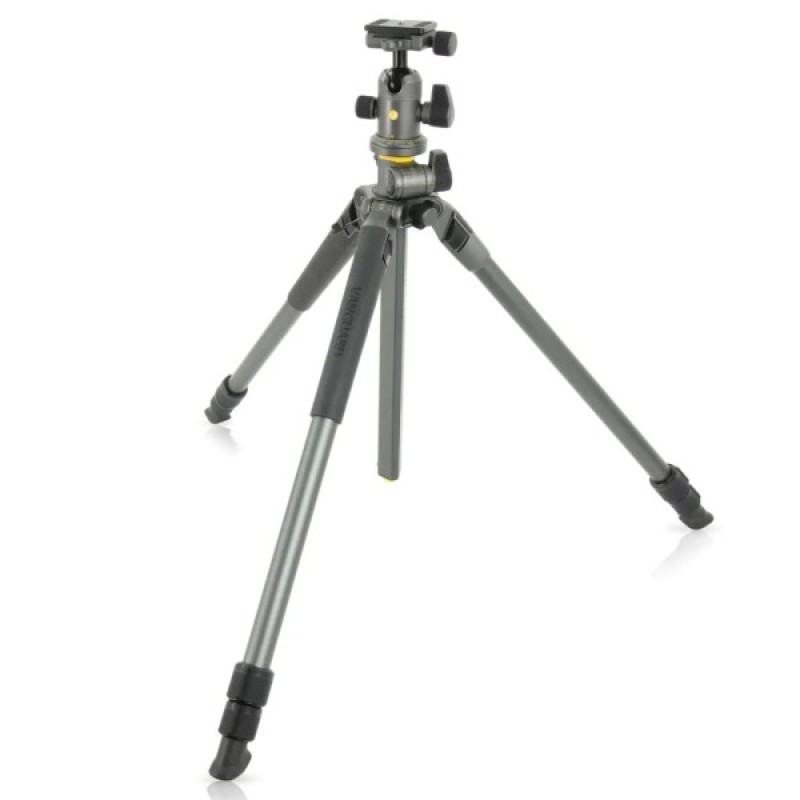 Штатив Vanguard Alta Pro 2+ 263AB 100 (DAS302029)