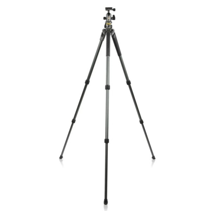 Штатив Vanguard Alta Pro 2+ 263AB 100 (DAS302029)