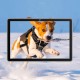 Скло захисне BeCover Blackview Tab 70 WiFi 10.1" (712823)