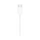 Навушники Apple EarPods USB-C (MTJY3ZM/A)