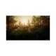 Гра Sony The Last Of Us Part I [PS5, Ukrainian version] (9406792)