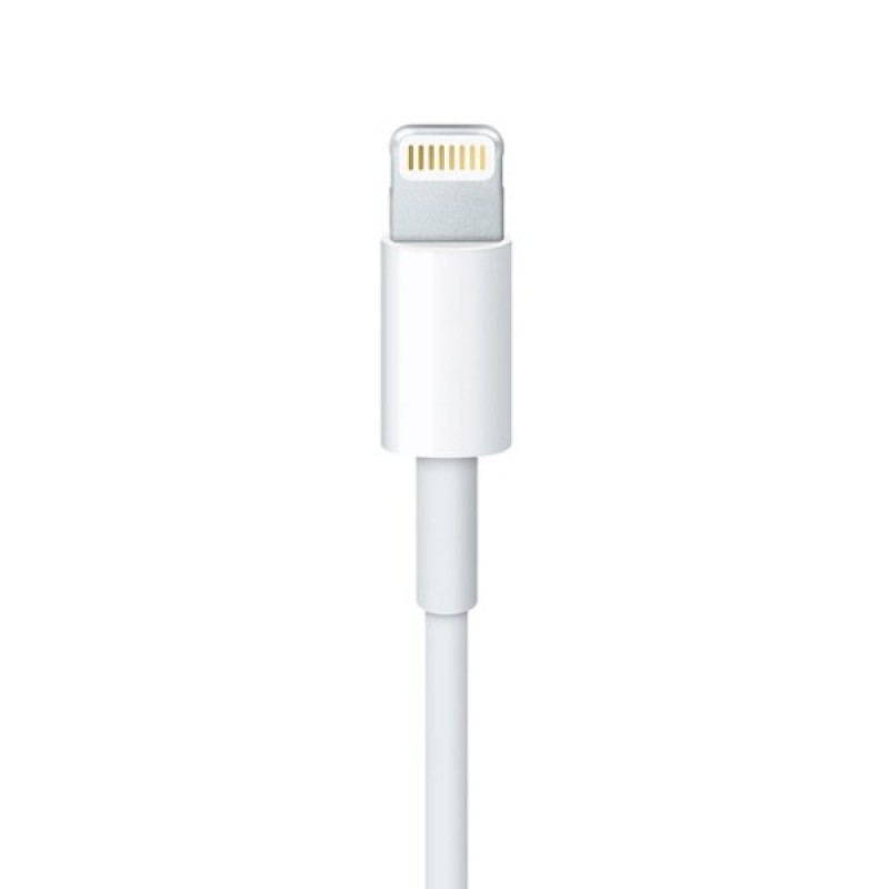 Дата кабель USB 2.0 AM to Lightning 1.0m Apple (MXLY2ZM/A)