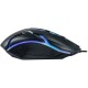 Мишка Havit HV-MS4239 USB Black (6939119042073)