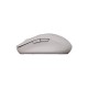 Мишка Canyon MW-12 Wireless/Bluetooth Beige (CNS-CMSW12BG)