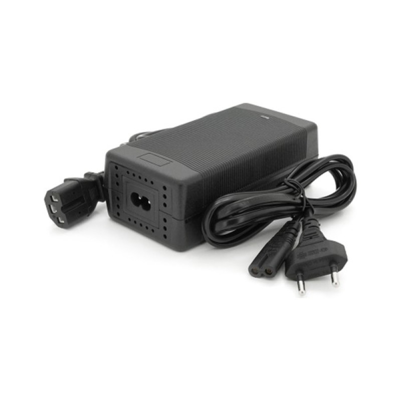Мережевий зарядний пристрій для АКБ Voltronic LiFePO4 12V (14.6V), 4S,10A (YT-SJT-1468-C13)