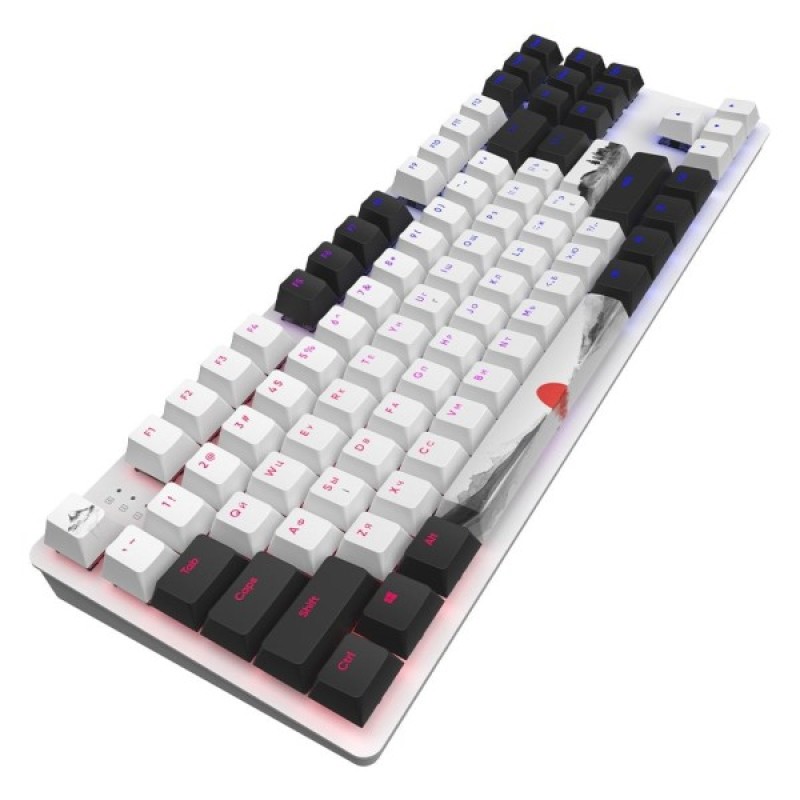 Клавіатура Dark Project One 87 Fuji ABS RGB Mech G3ms Sapphire USB Black/White (DPO87_GSH_Fuji_ANSI_UA)