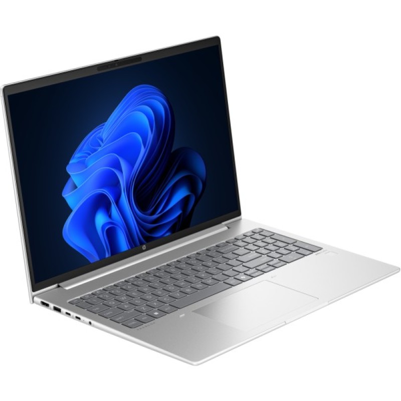 Ноутбук HP ProBook 460 G11 (8Z674AV_V6)