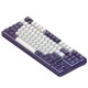 Клавіатура Dark Project ALU87 Celestial ABS RGB Mech G3MS Voidstone USB Violet (DPKB_VIOLET_87_ANSI_UA)