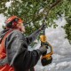Ланцюгова пила DeWALT висоторіз 18V, довжина шини 20 см, ланцюг OREGON 3/8, (без АКБ та ЗП) (DCMPS567N)