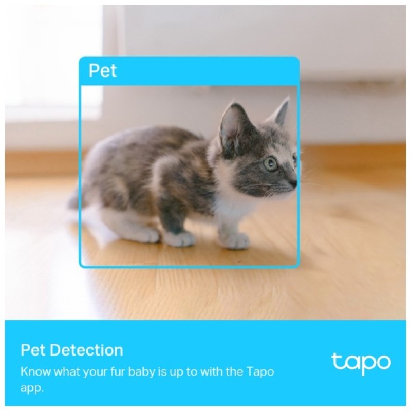 Камера відеоспостереження TP-Link TAPO-C225