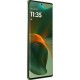 Мобільний телефон Motorola Edge 50 Fusion 8/256GB Forest Green (PB3T0083RS)