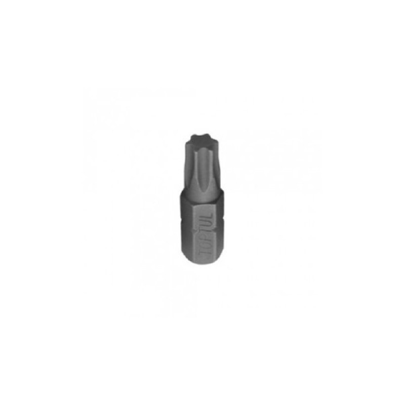 Набір біт Toptul TORX 10мм 15шт. (GAAD1506)