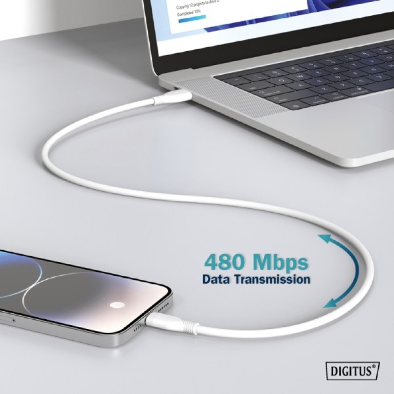Дата кабель USB 2.0 AM to Type-C 1.0m 60W white Digitus (AK-300340-010-W)